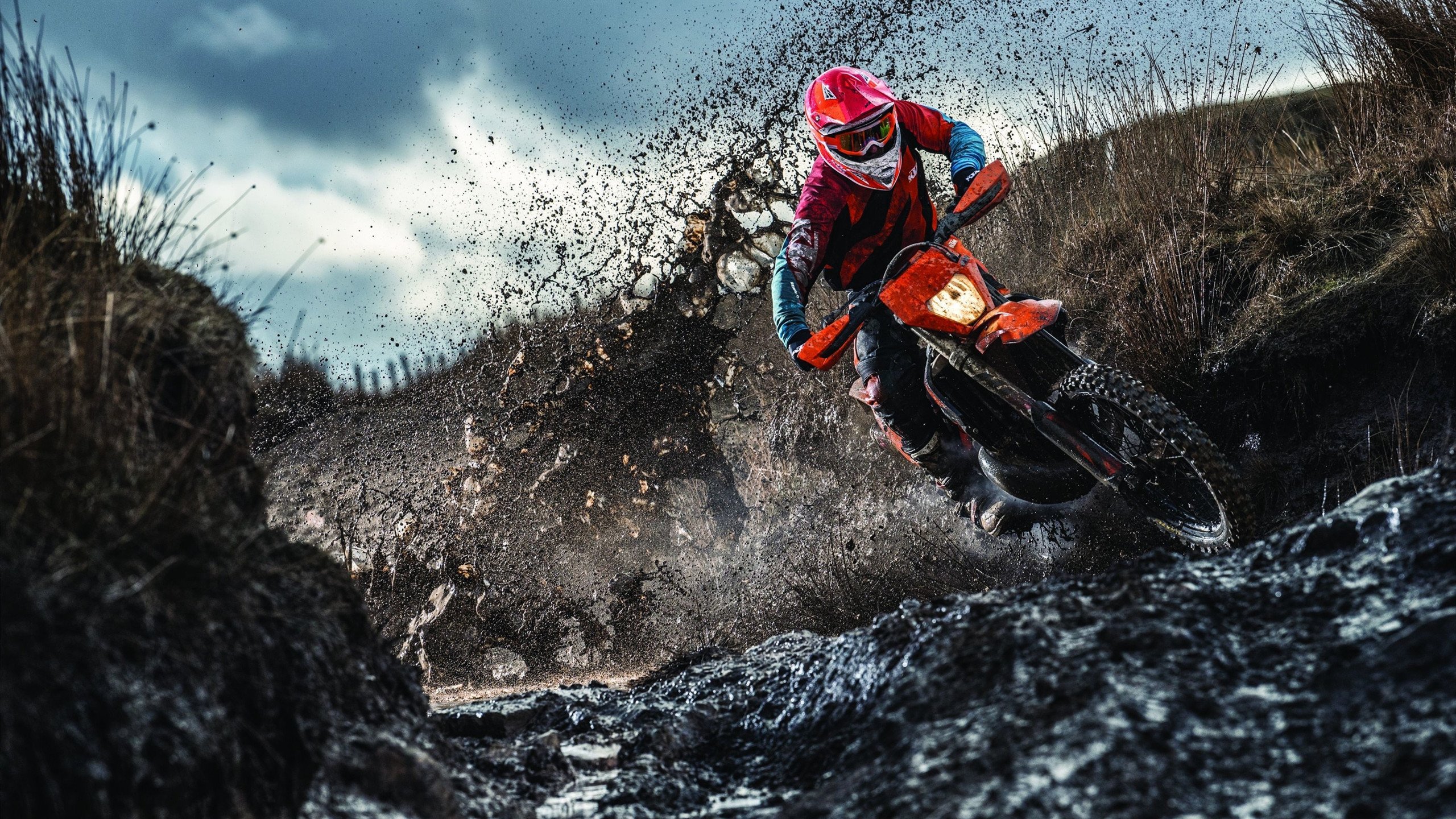 巴黎奥运会奖牌榜风云变幻 中美角逐激烈